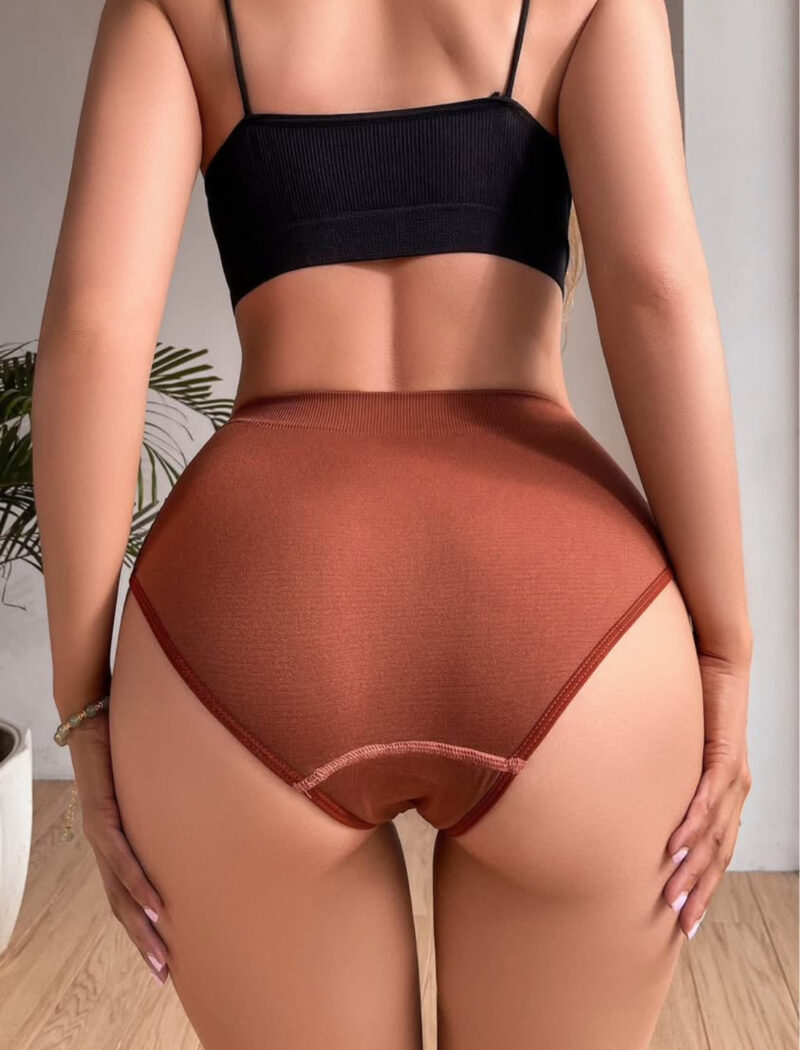 Ladies High-Waisted Underpants - Image 3