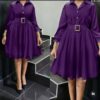 Fashionable Elegant Ladies Office Party Dress