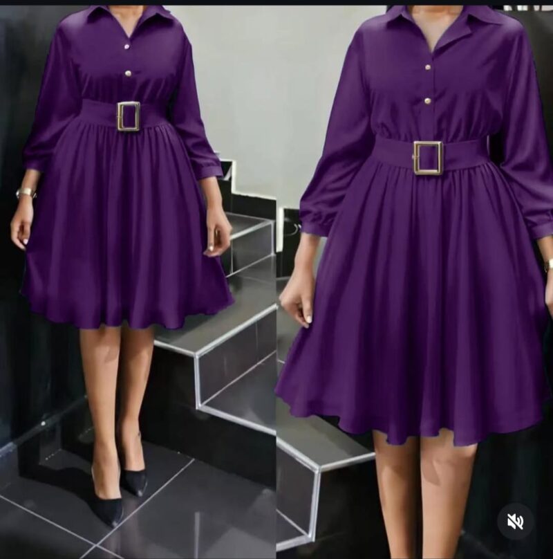 Fashionable Elegant Ladies Office Party Dress