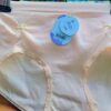12pcs Seamless Ladies Pants Nickers Underwear Assorted Colors