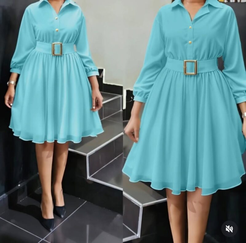 Fashionable Elegant Ladies Office Party Dress - Image 2