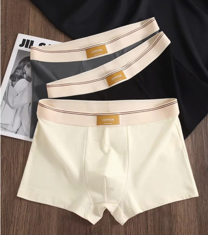 Men’s Sustainable Cotton Anti-Bacterial Breathable Mid-Rise Boxer Shorts With Custom Logo On The Waist - Image 2