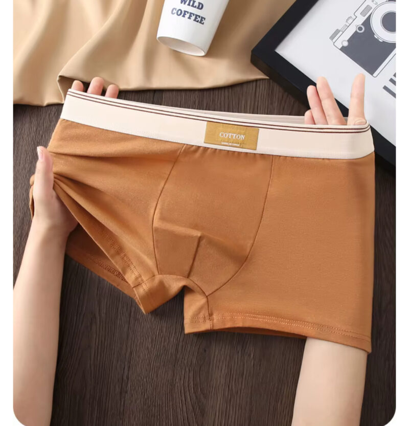 Men’s Sustainable Cotton Anti-Bacterial Breathable Mid-Rise Boxer Shorts With Custom Logo On The Waist - Image 7