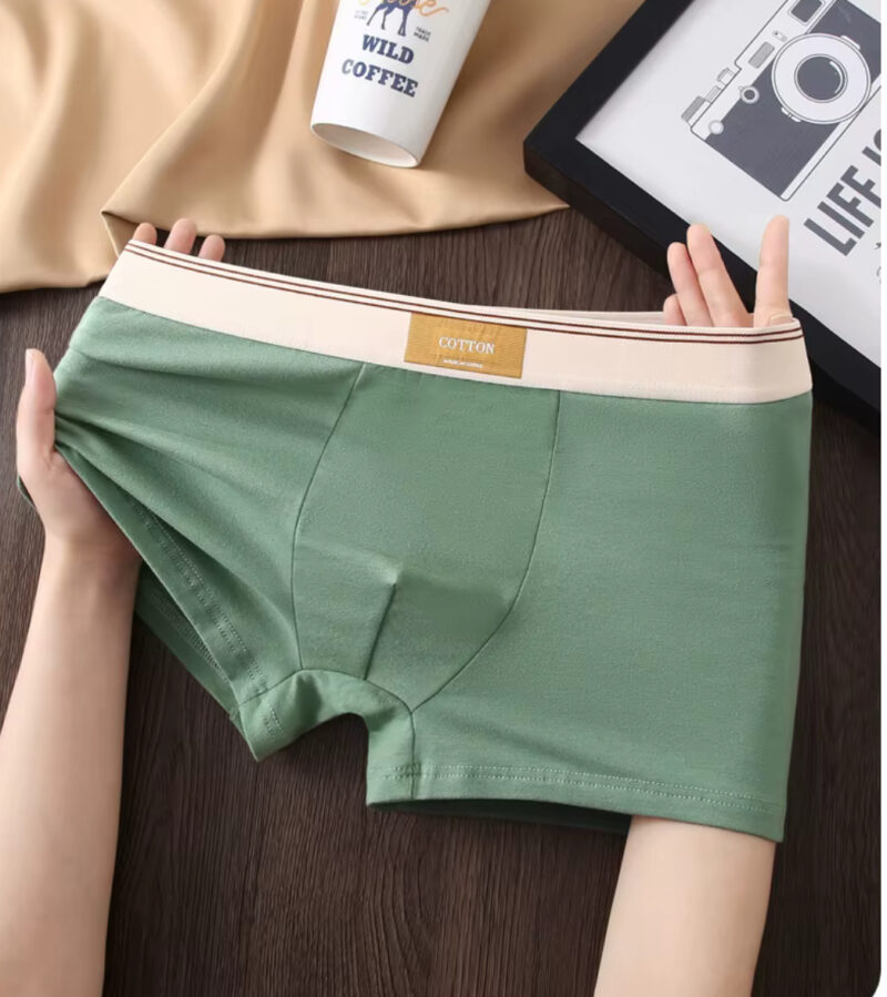 Men’s Sustainable Cotton Anti-Bacterial Breathable Mid-Rise Boxer Shorts With Custom Logo On The Waist - Image 5