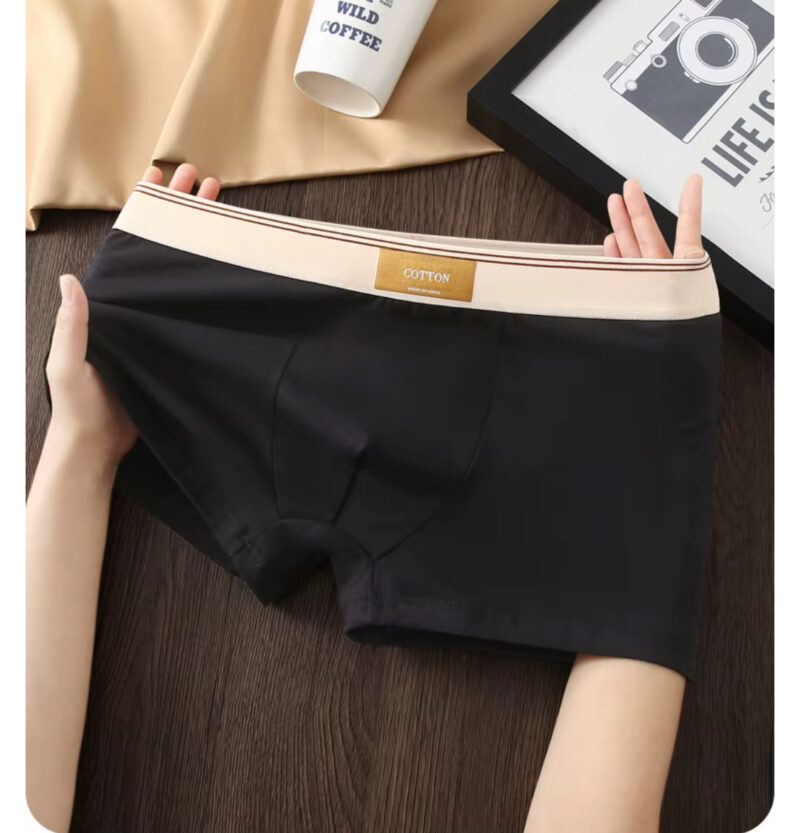 Men’s Sustainable Cotton Anti-Bacterial Breathable Mid-Rise Boxer Shorts With Custom Logo On The Waist - Image 3