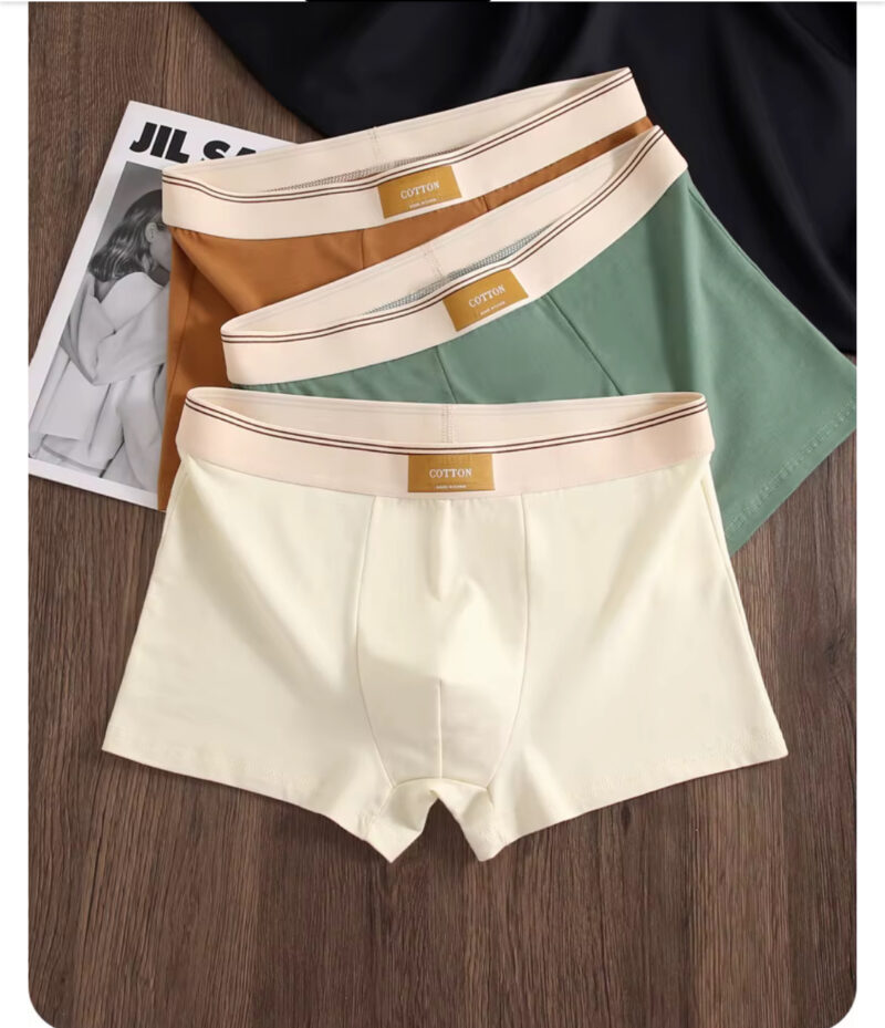 Men’s Sustainable Cotton Anti-Bacterial Breathable Mid-Rise Boxer Shorts With Custom Logo On The Waist - Image 4