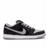 Nike SB Dunk Low Pro Sneakers 👟