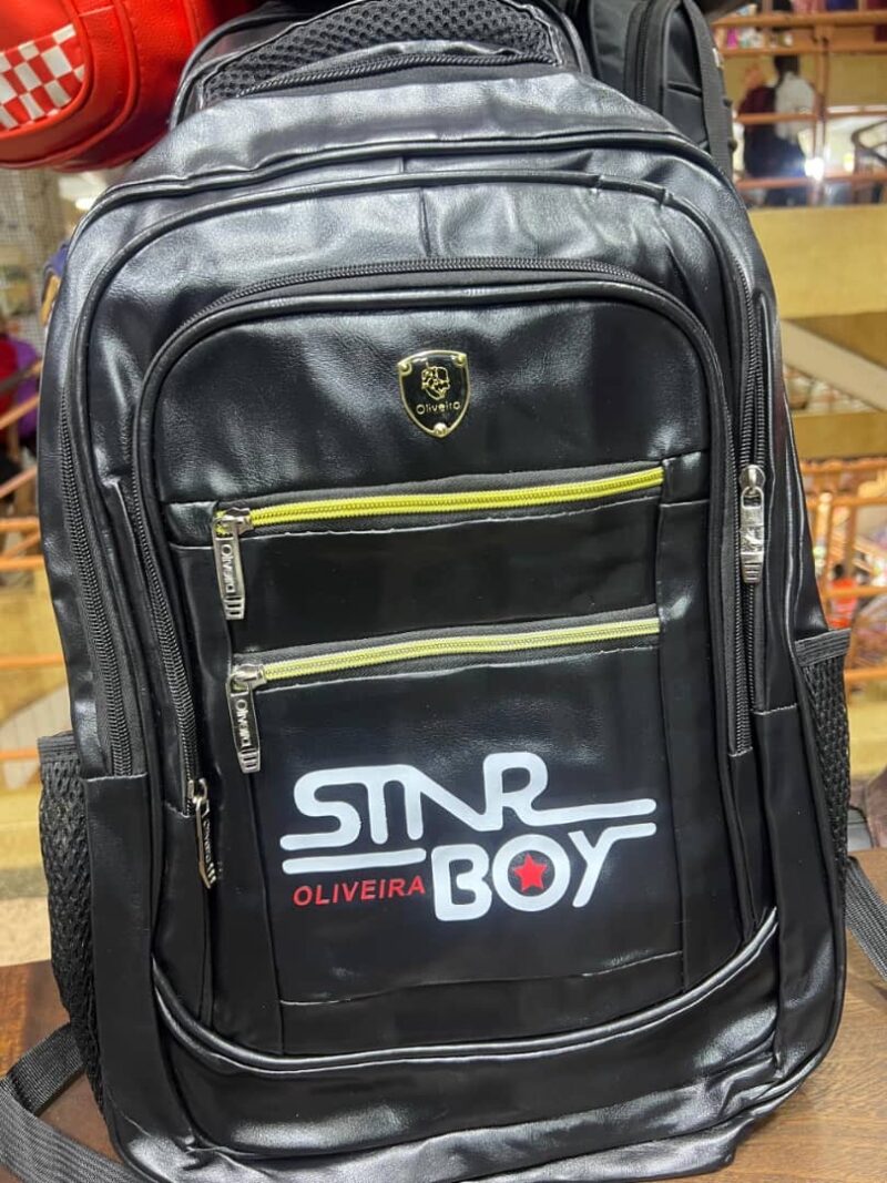 STAR BOY Anti Theft Travel Laptop Student Bookbag Backpack Bag. - Image 2