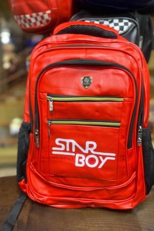 STAR BOY Anti Theft Travel Laptop Student Bookbag Backpack Bag.