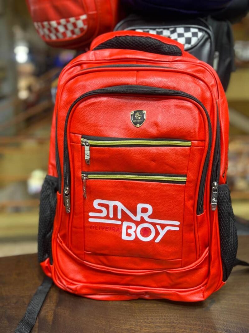STAR BOY Anti Theft Travel Laptop Student Bookbag Backpack Bag.