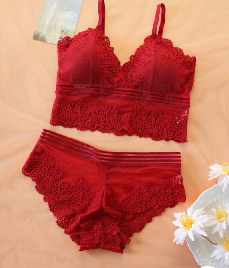 High Quality Women’s Lace See Through Set Underwear And Bra / Women’s Lingerie Set - Image 4